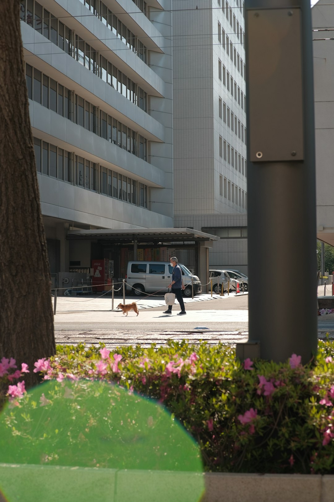 Bahçelievler Soğanlı Mahallesi Profilo Buzdolabı Servisi | Güvenilir Teknik Destek