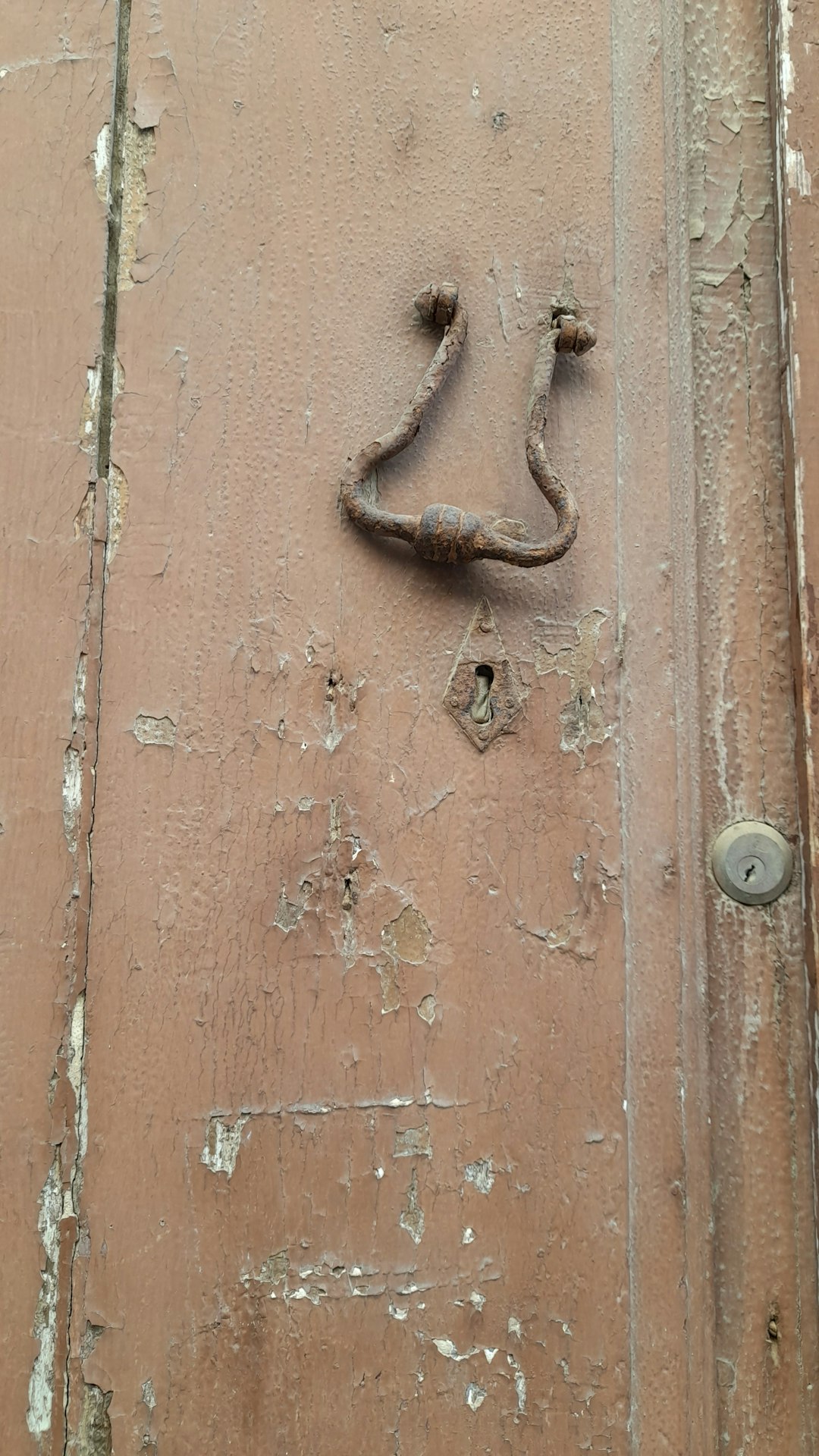 Bakırköy Florya Mahallesi'nde Miele Buzdolabı: Kalite ve Şıklık