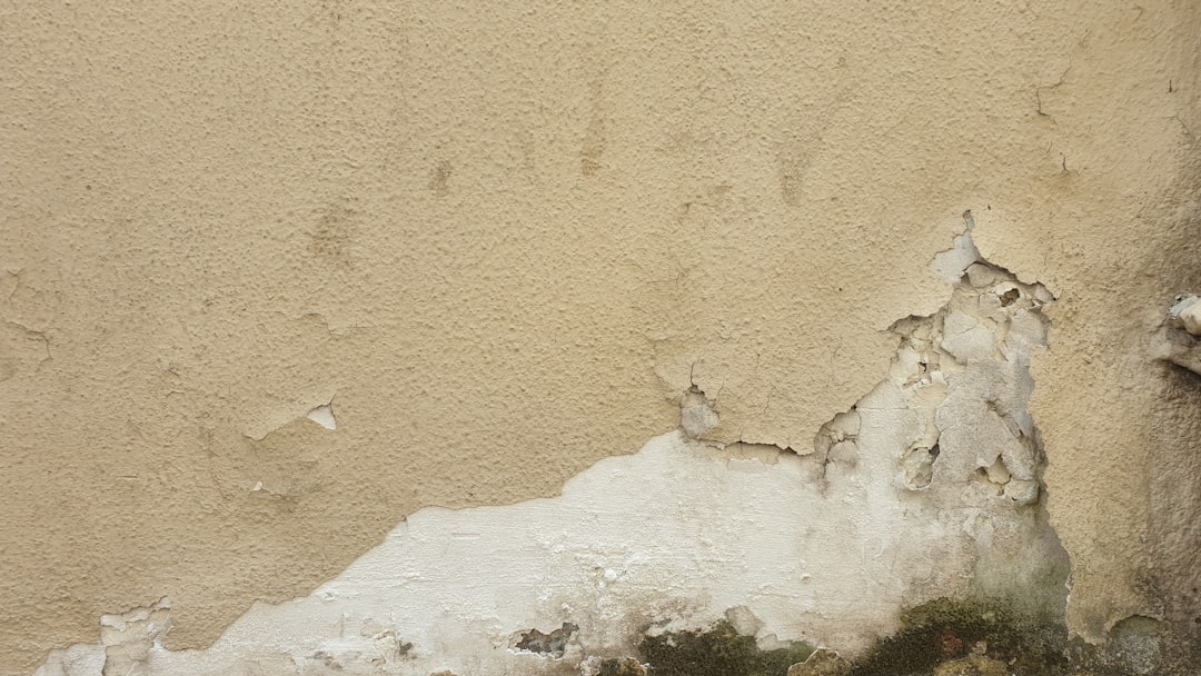 Başakşehir Atışalanı Mahallesi'nde Kaliteli Samsung Beyaz Eşya Mağazası