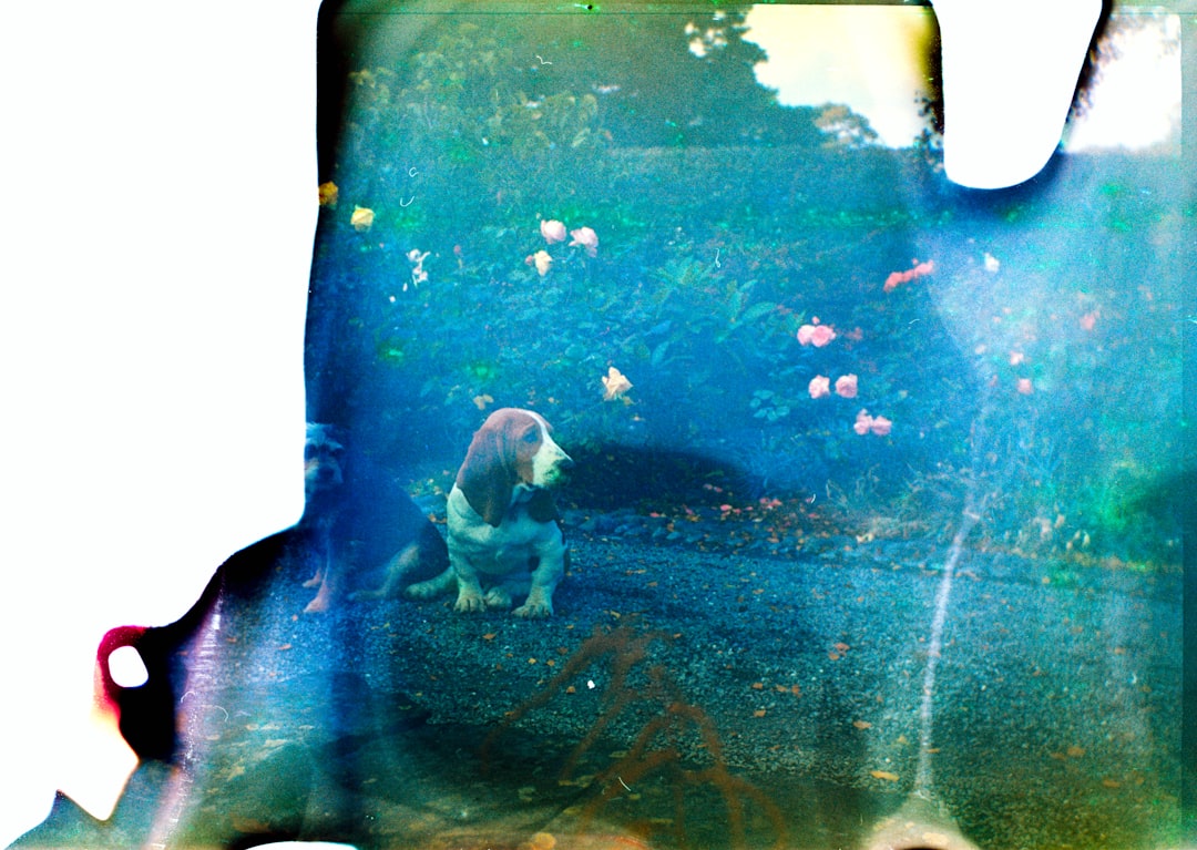 Beşiktaş Bebek Mahallesi Altus Buzdolabı Servisi | Uzman Teknik Destek