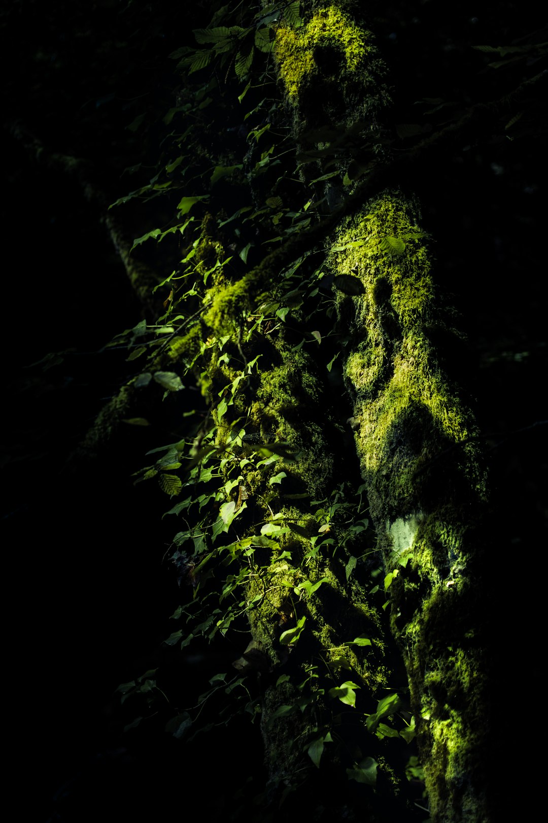 Beşiktaş Levazım Mahallesi'nde Güvenilir Arçelik Çamaşır Makinesi Servisi