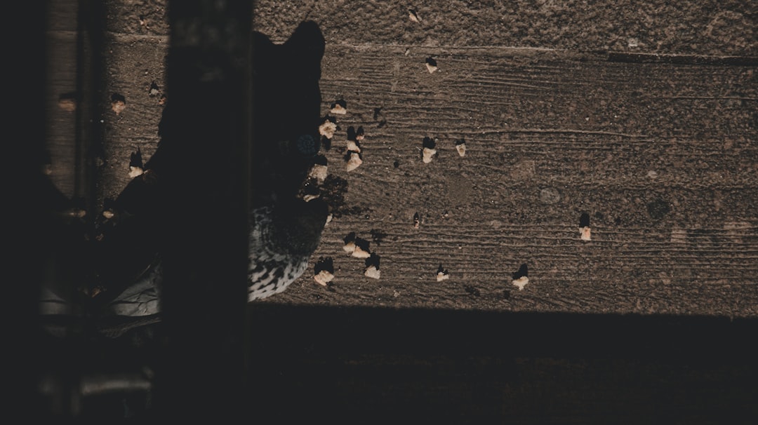 Beyoğlu Arapcami Mahallesi Vestel Çamaşır Makinesi Servisi - Güvenilir Çözümler