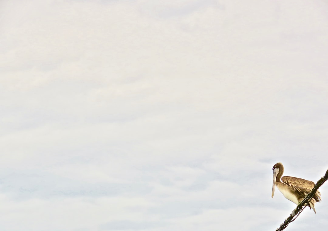 Beyoğlu İstiklal Mahallesi Beko Yetkili Servisi | Profesyonel Hizmet Garantisi