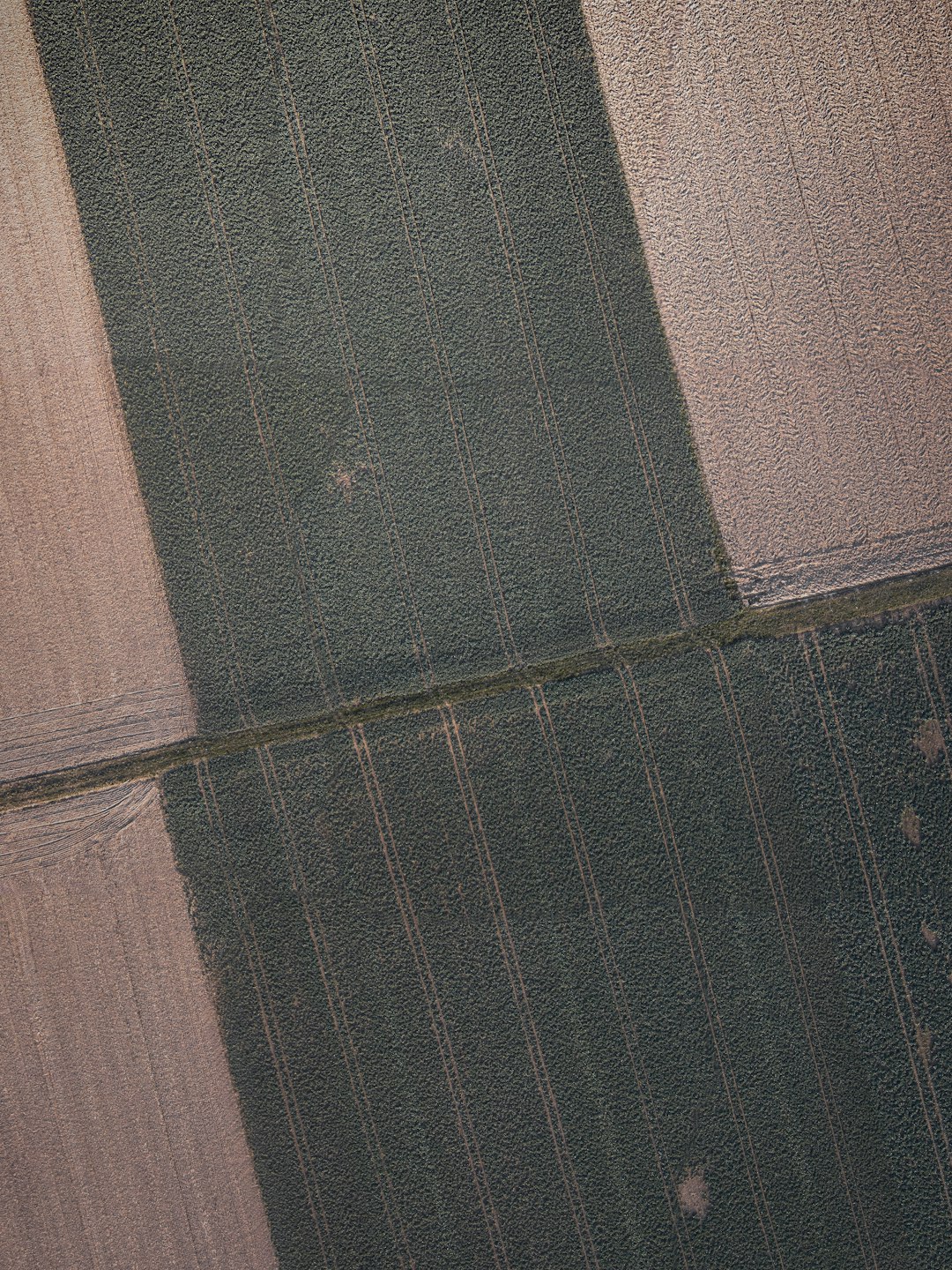 Beyoğlu Kasımpaşa Mahallesi'nde Beko Bulaşık Makinesi: Fiyatlar ve İnceleme