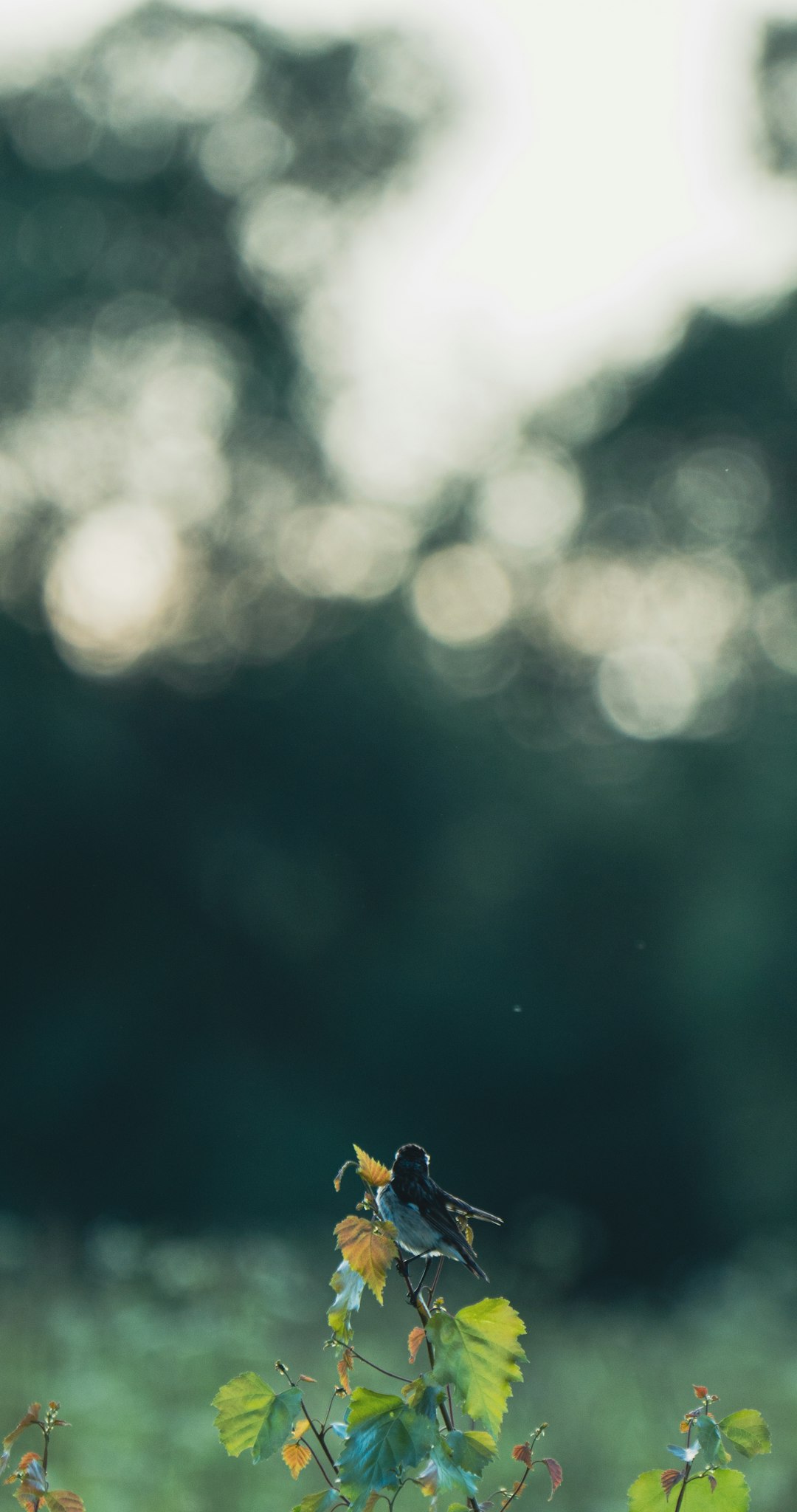 Beyoğlu Kasımpaşa Mahallesi'nde Beko Bulaşık Makinesi: Fiyatlar ve İnceleme