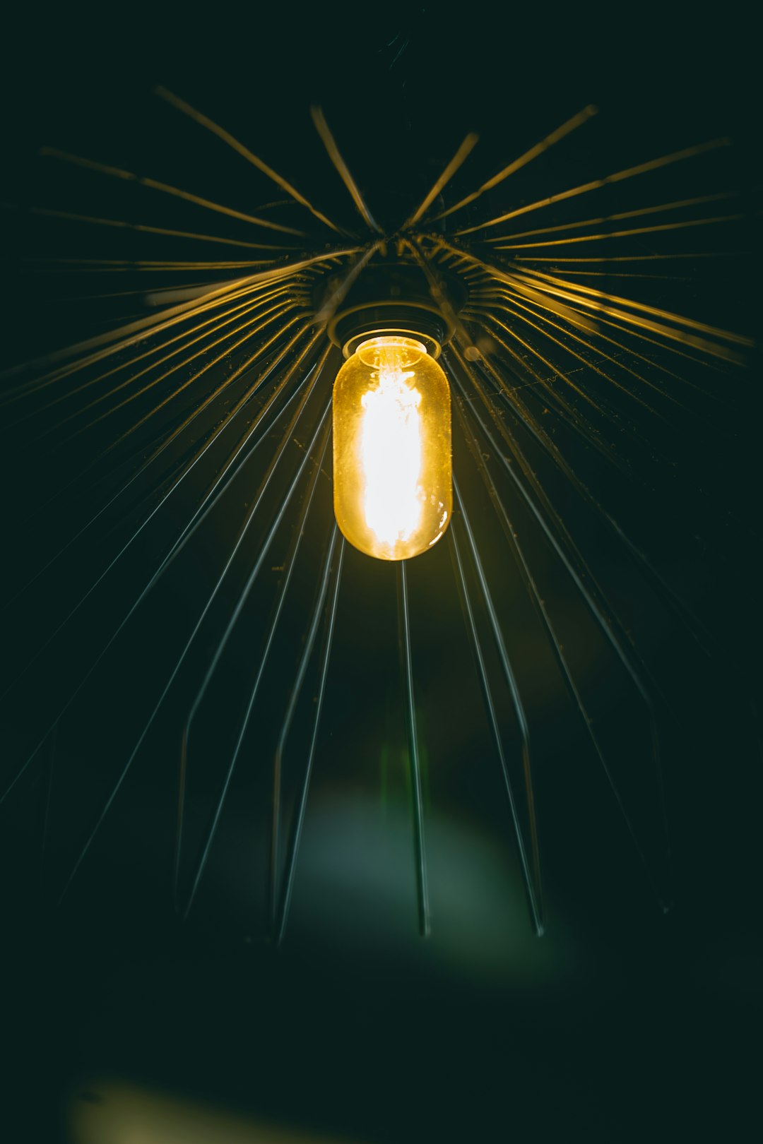 Beyoğlu Kasımpaşa Mahallesi'nde Regal Bulaşık Makinesi: Kalite ve Uygun Fiyat