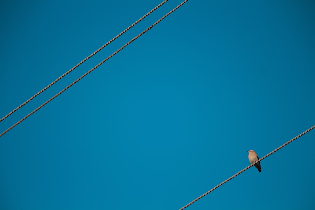 Çatalca Köyler Mahallesi Siemens Çamaşır Makinesi Servisi - Uygun Fiyatlarla Profesyonel Hizmet