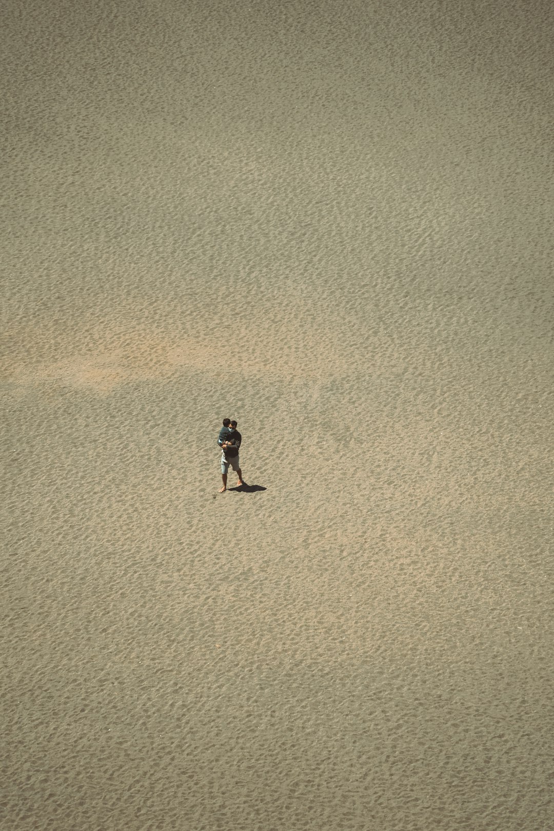 Cihangir Mahallesi'nde Regal Bulaşık Makinesi İncelemesi | En İyi Öneriler