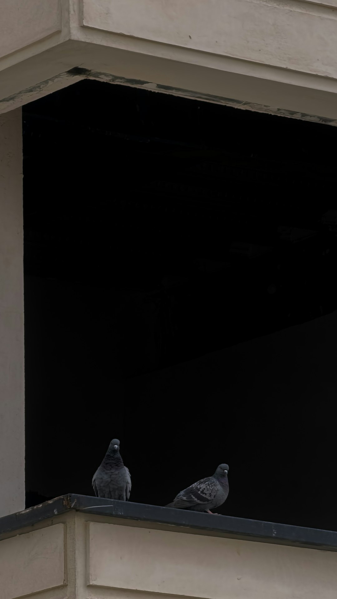 Cihangir Mahallesi Samsung Çamaşır Makinesi Yetkili Servisi | Profesyonel Hizmet