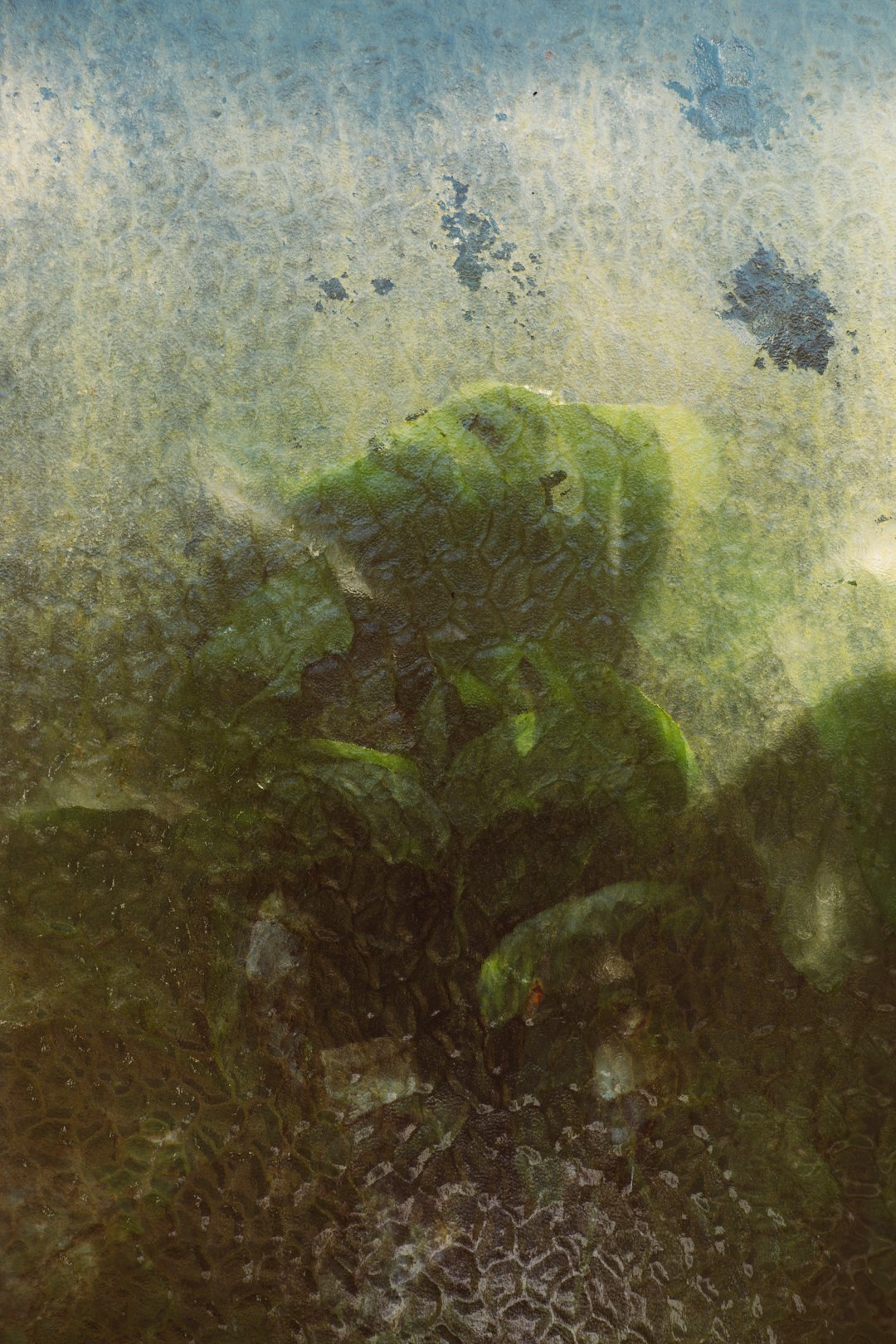 Halıcıoğlu Mahallesi Vestel Bulaşık Makinesi Servisi | Profesyonel Çözümler